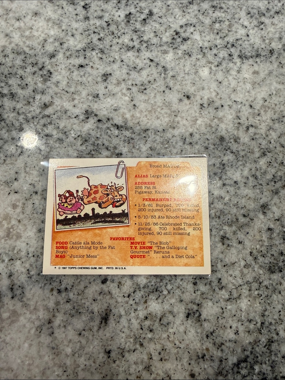 Garbage Pail Kids Collectible Card Set - Multi-Color - Picture 11 of 13